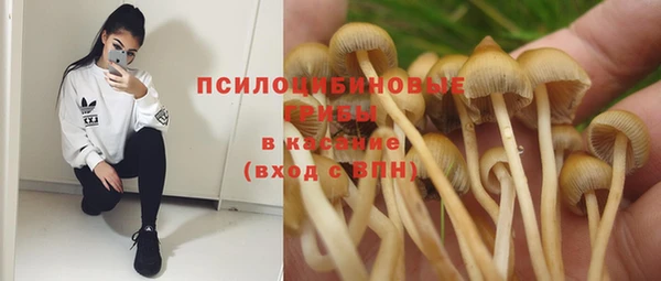 дживик Новозыбков