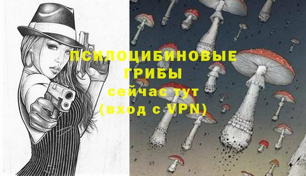 гашиш Новокубанск