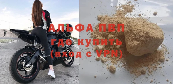 дживик Новозыбков