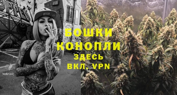 дживик Новозыбков