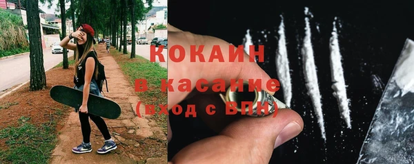 дживик Новозыбков