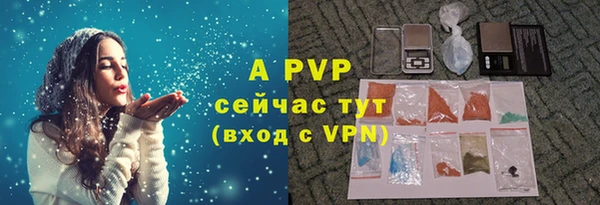 дживик Новодвинск