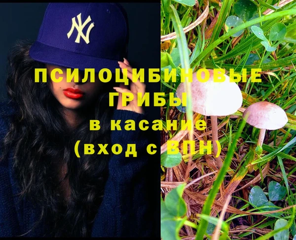дживик Новозыбков