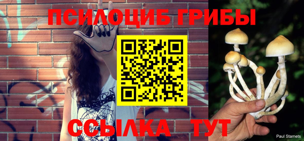 Псилоцибиновые грибы ЛСД  наркошоп  Лангепас  Псилоцибиновые грибы GOLDEN TEACHER 