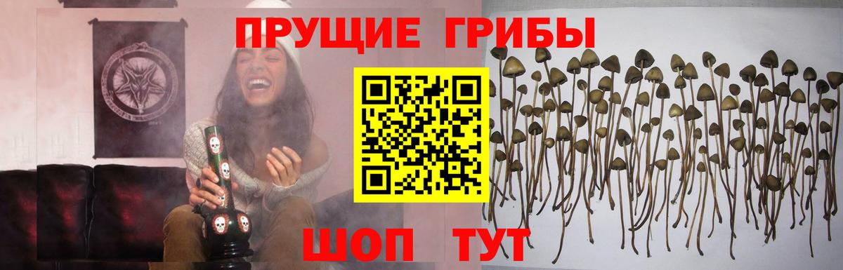 Псилоцибиновые грибы мухоморы Лангепас